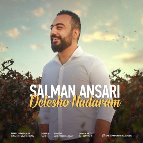 سلمان انصاری دلشو ندارم
